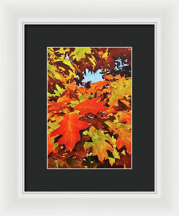 Burst Of Autumn - Framed Print