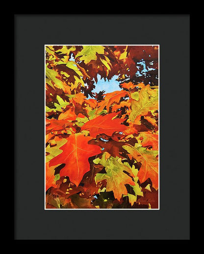 Burst Of Autumn - Framed Print