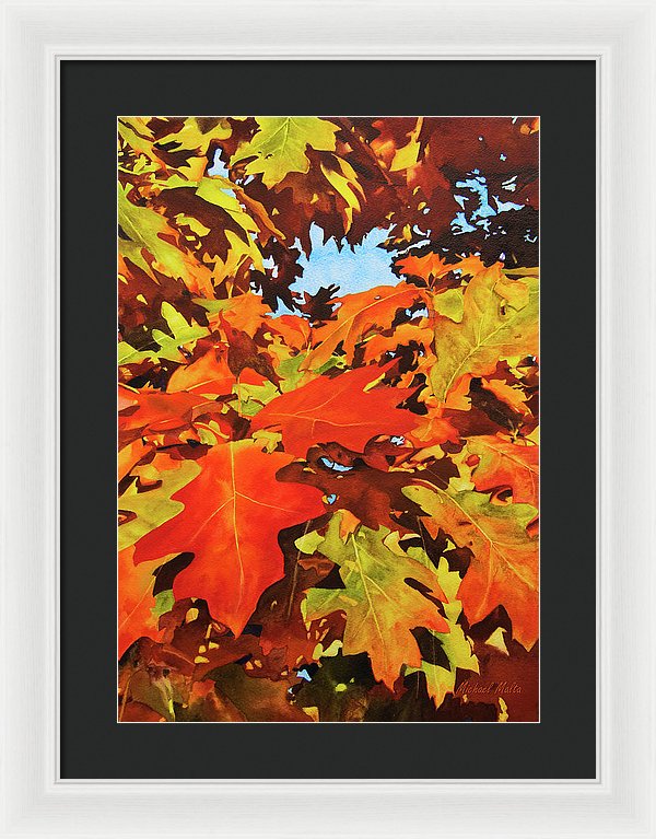 Burst Of Autumn - Framed Print