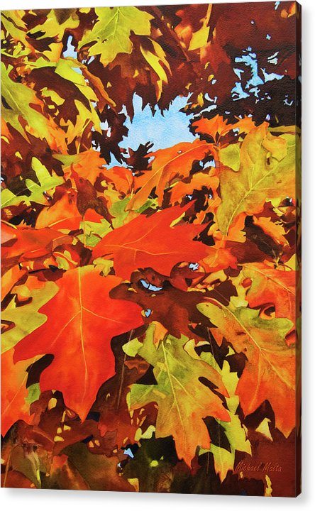 Burst Of Autumn - Acrylic Print