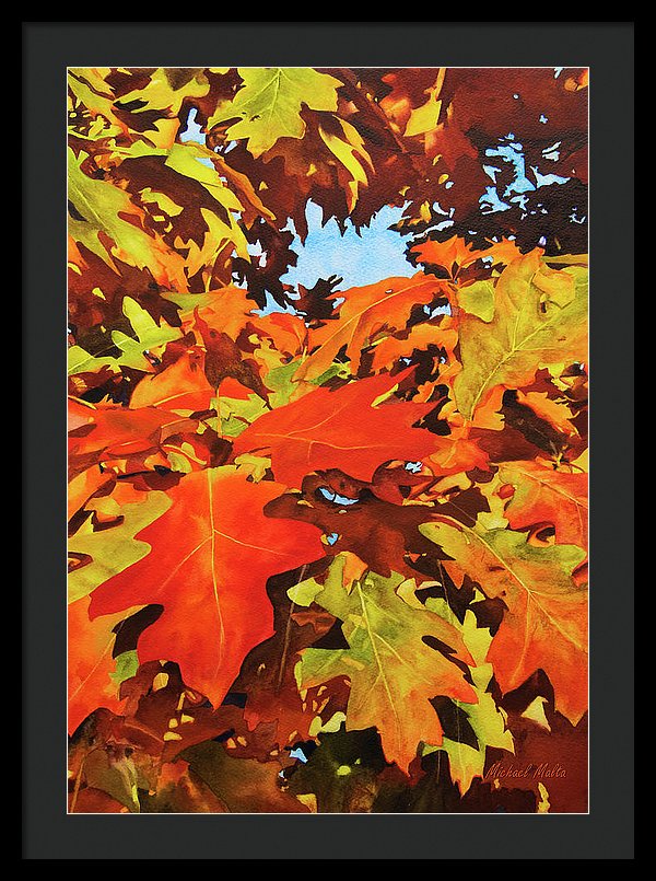 Burst Of Autumn - Framed Print