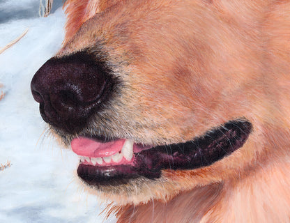 Comet - Original - SOLD