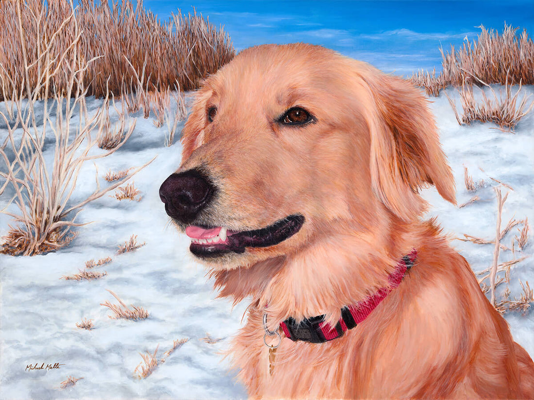 Comet - Original - SOLD