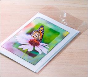 Greeting and Note Cards