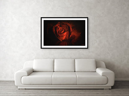 Passion - Framed Print