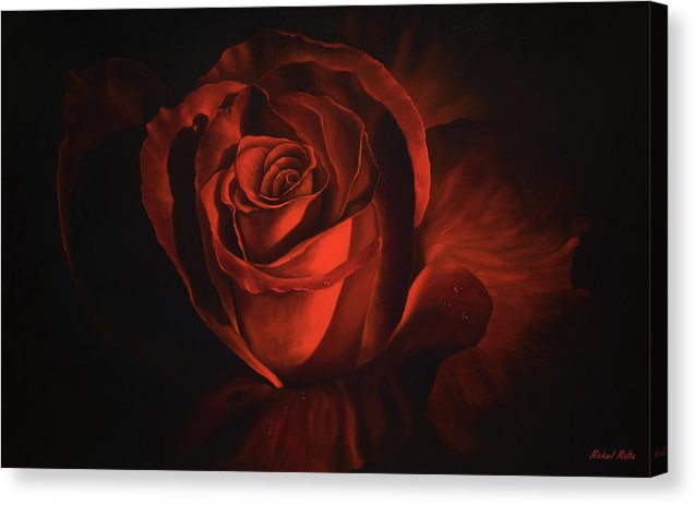 Passion - Canvas Print