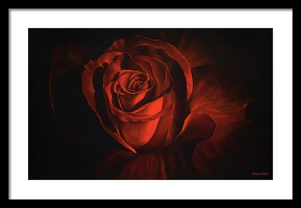 Passion - Framed Print