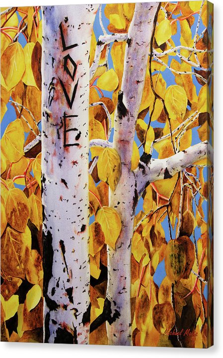 Quaking Aspens - Canvas Print