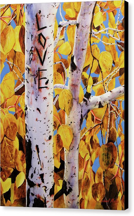 Quaking Aspens - Canvas Print