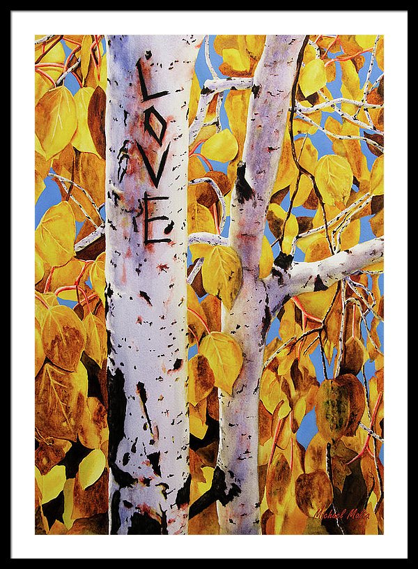 Quaking Aspens - Framed Print