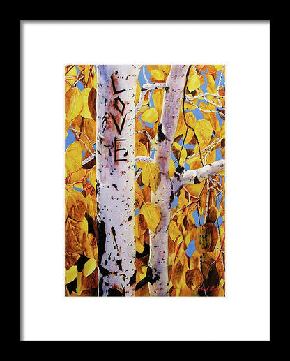 Quaking Aspens - Framed Print