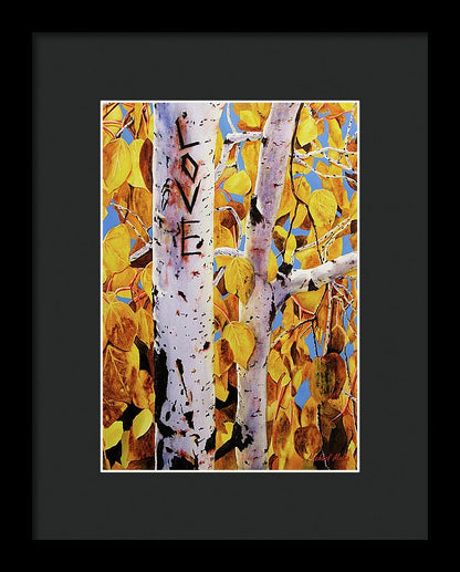 Quaking Aspens - Framed Print