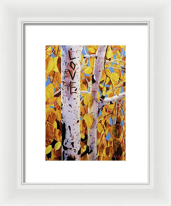 Quaking Aspens - Framed Print