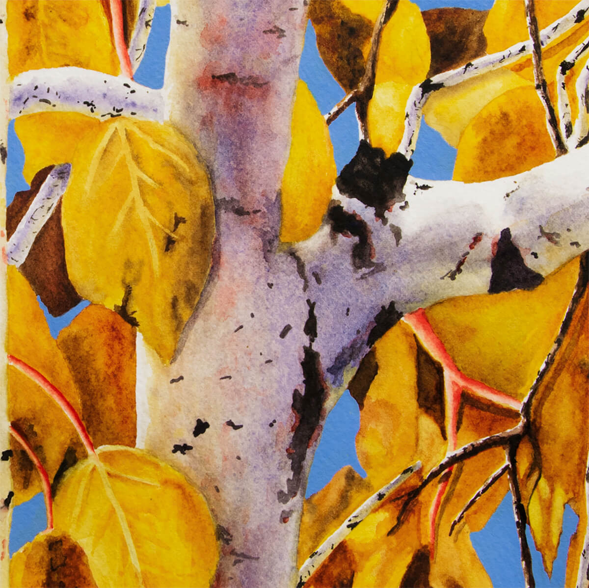 Quaking Aspens - Jigsaw Puzzle