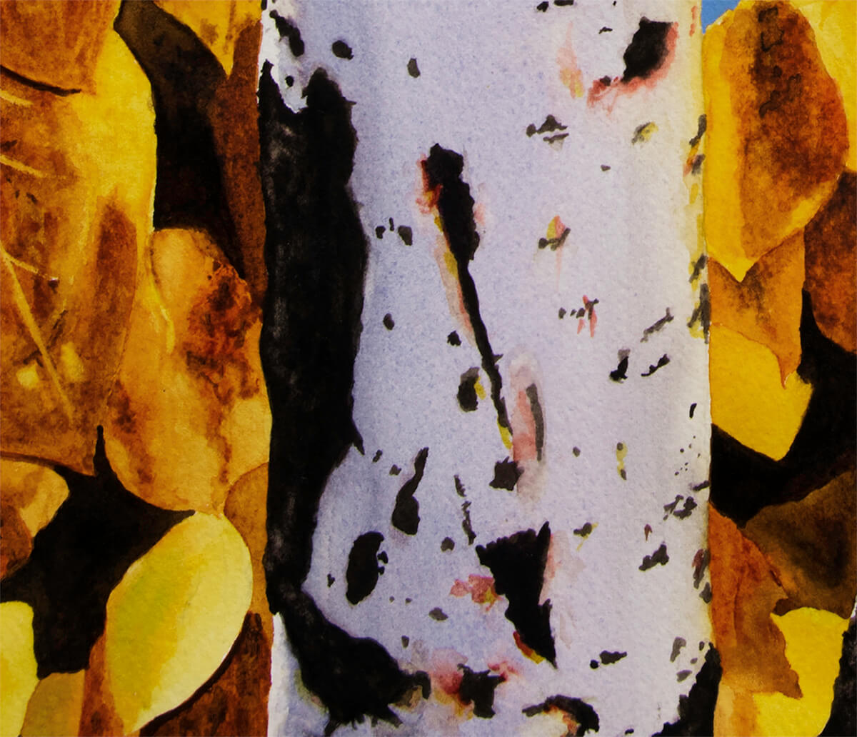 Quaking Aspens - Jigsaw Puzzle