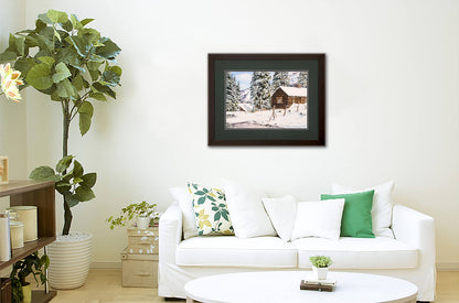 Snowy Retreat - Studio Framed Print