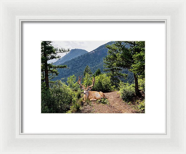 Taking A Break - Framed Print