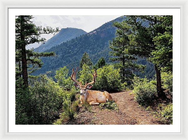 Taking A Break - Framed Print