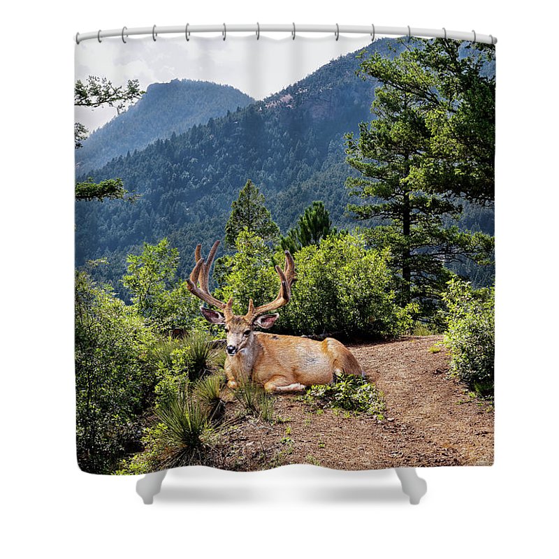 Taking A Break - Shower Curtain