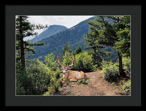 Taking A Break - Framed Print