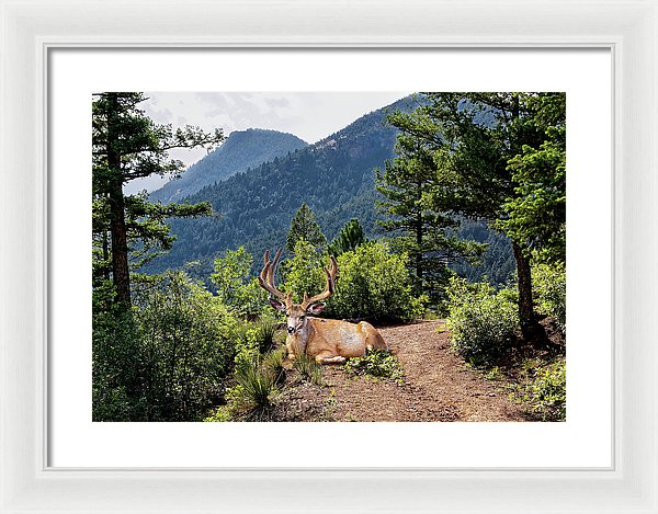 Taking A Break - Framed Print