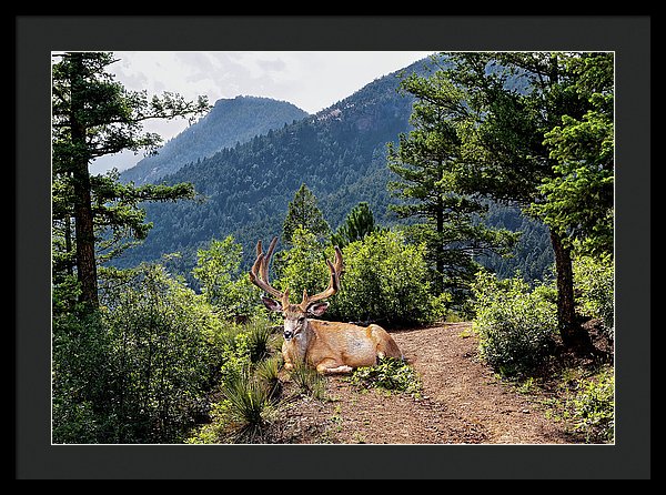 Taking A Break - Framed Print