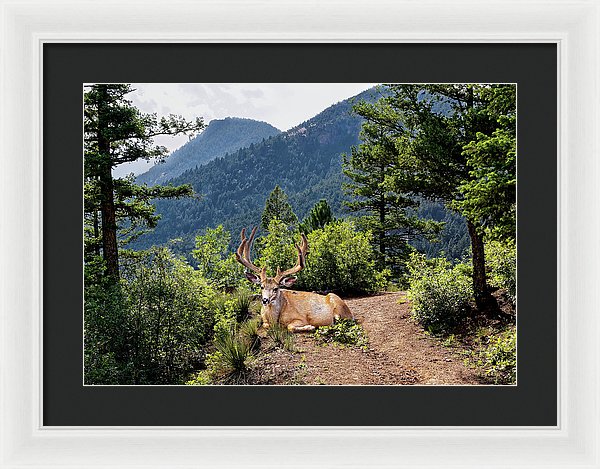 Taking A Break - Framed Print