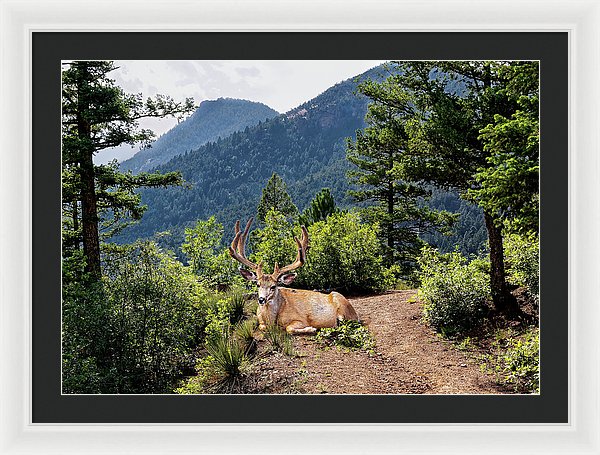 Taking A Break - Framed Print