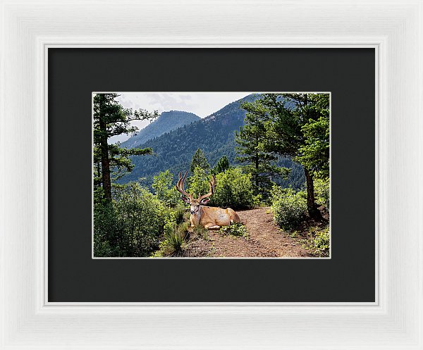 Taking A Break - Framed Print