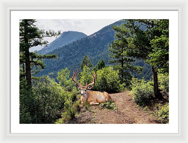 Taking A Break - Framed Print