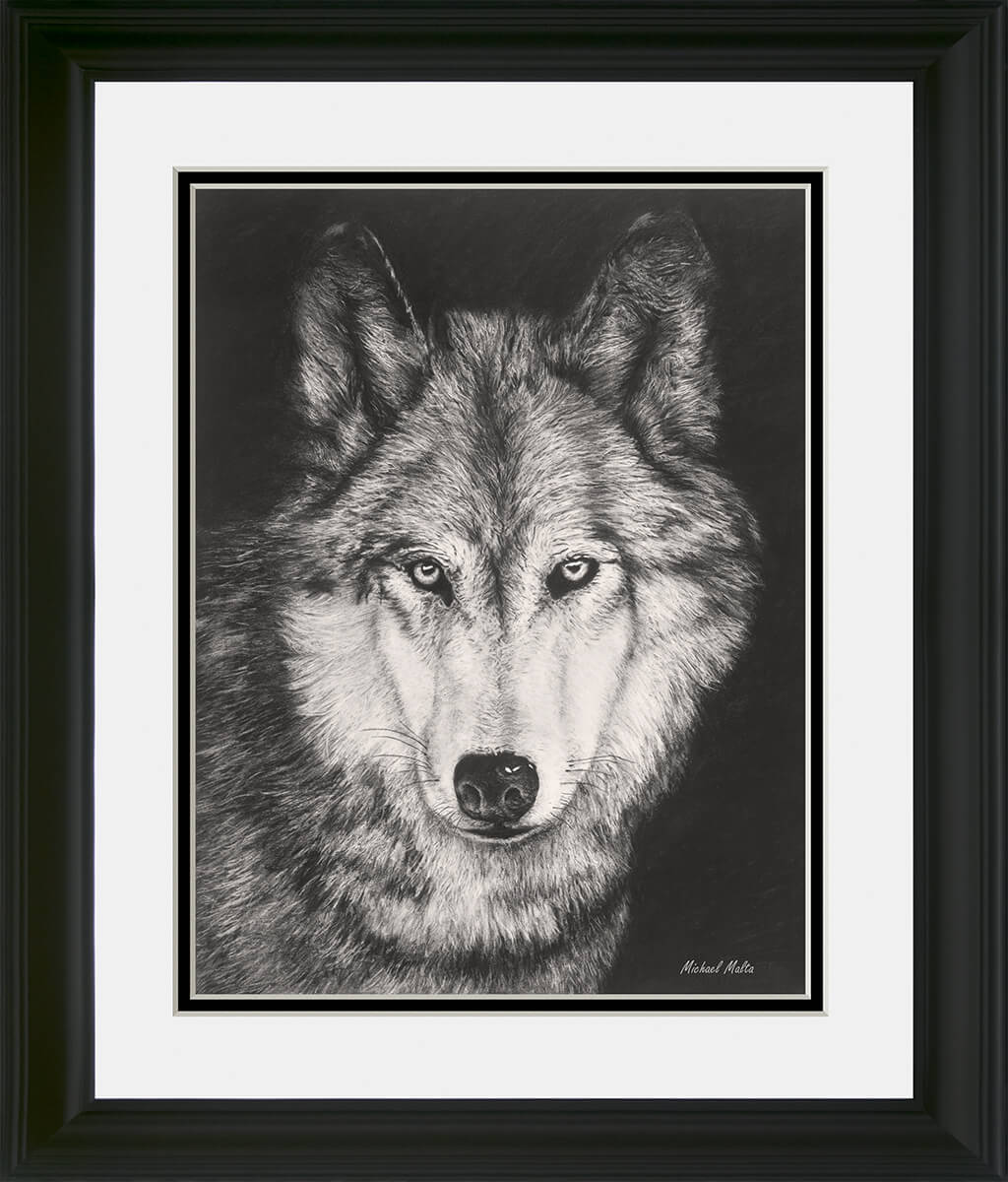 The Night Watch - Studio Framed Art Print WORKING