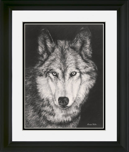 The Night Watch - Studio Framed Art Print WORKING