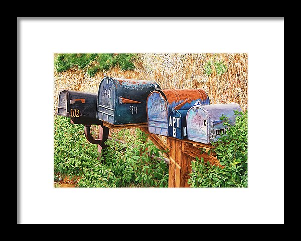 You Got Mail - Framed Print