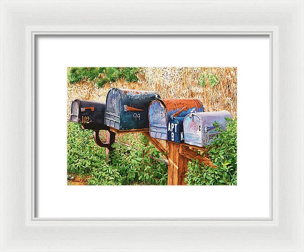 You Got Mail - Framed Print