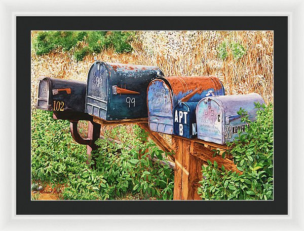 You Got Mail - Framed Print